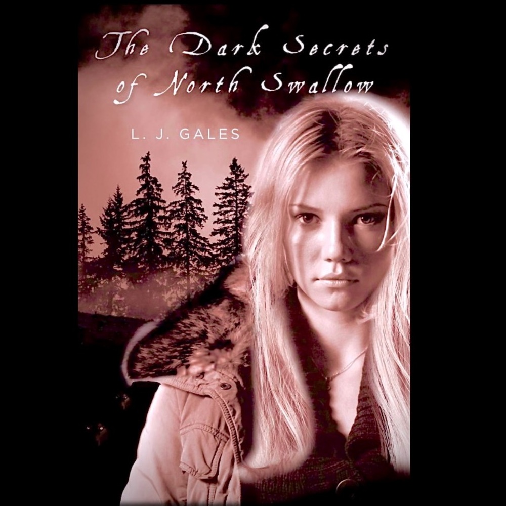 DISCOUNT SALE! I’m a professional author selling signed copies of my book.